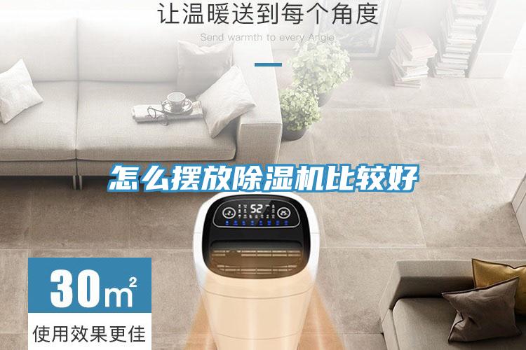 怎么摆放猫咪成人官网比较好