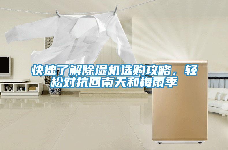 快速了解猫咪成人官网选购攻略，轻松对抗回南天和梅雨季
