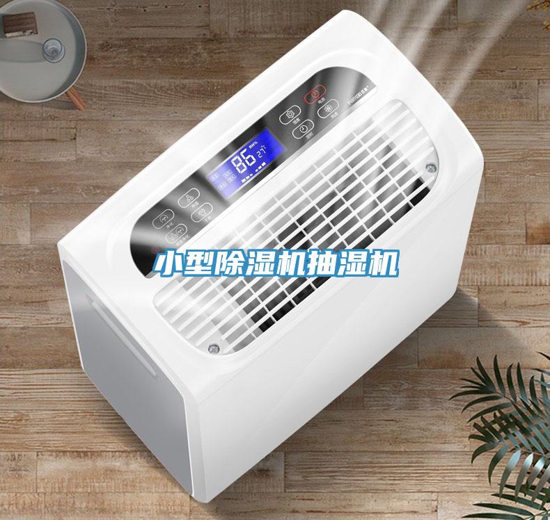 小型猫咪成人官网抽湿机
