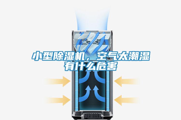 小型猫咪成人官网，空气太潮湿有什么危害
