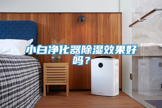 小白净化器除湿效果好吗？