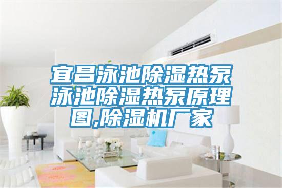 宜昌泳池除湿热泵泳池除湿热泵原理图,猫咪成人官网厂家
