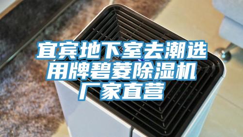 宜宾地下室去潮选用牌碧菱猫咪成人官网厂家直营