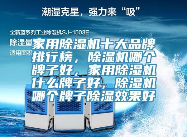 家用猫咪成人官网十大品牌排行榜，猫咪成人官网哪个牌子好，家用猫咪成人官网什么牌子好，猫咪成人官网哪个牌子除湿效果好