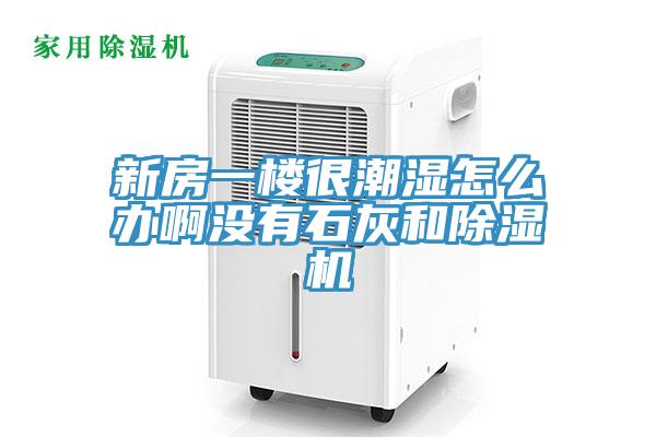 新房一楼很潮湿怎么办啊没有石灰和猫咪成人官网