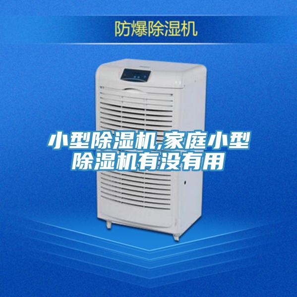 小型猫咪成人官网,家庭小型猫咪成人官网有没有用