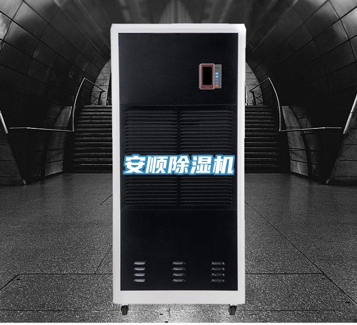 安顺猫咪成人官网