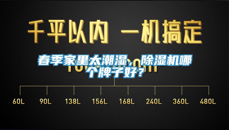 春季家里太潮湿，猫咪成人官网哪个牌子好？