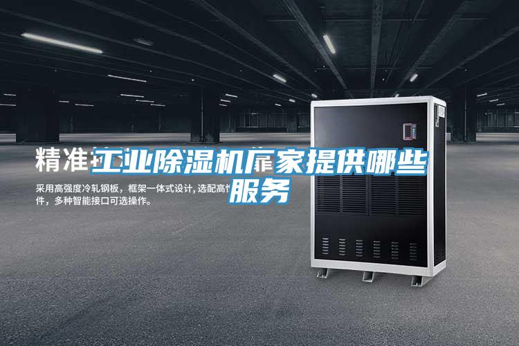工业猫咪成人官网厂家提供哪些服务
