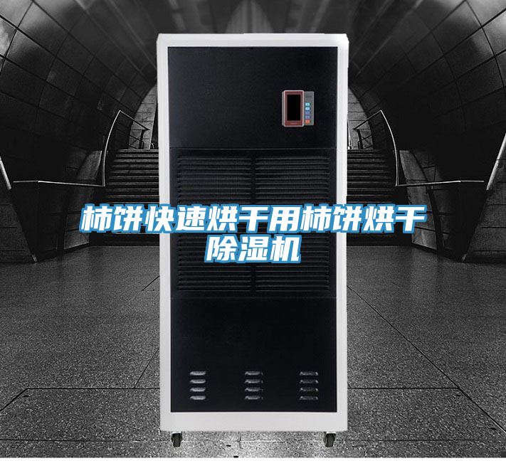 柿饼快速烘干用柿饼烘干猫咪成人官网