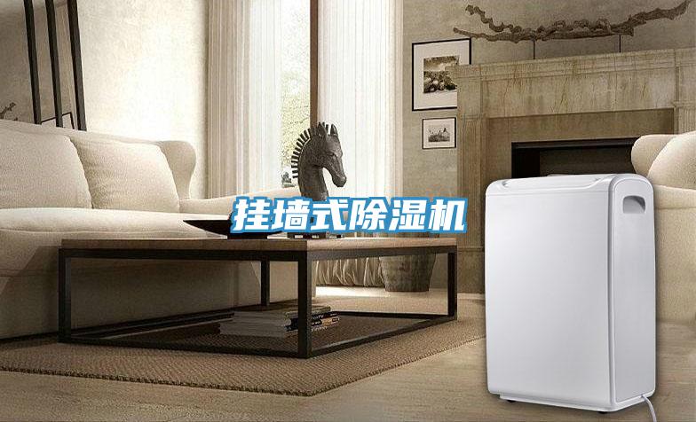 挂墙式猫咪成人官网