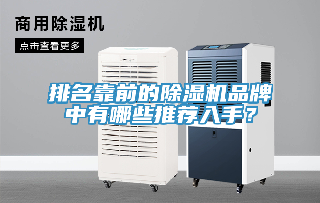 排名靠前的猫咪成人官网品牌中有哪些推荐入手？