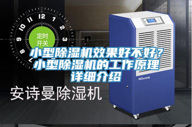 小型猫咪成人官网效果好不好？小型猫咪成人官网的工作原理详细介绍