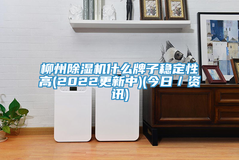 柳州猫咪成人官网什么牌子稳定性高(2022更新中)(今日／资讯)