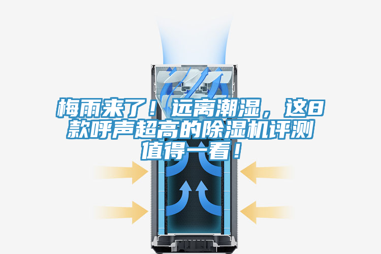 梅雨来了！远离潮湿，这8款呼声超高的猫咪成人官网评测值得一看！