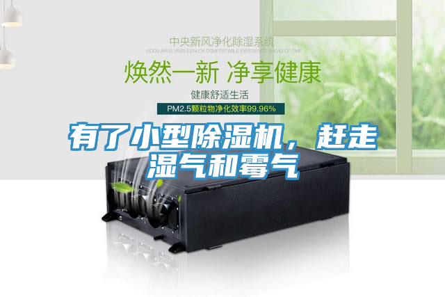 有了小型猫咪成人官网，赶走湿气和霉气