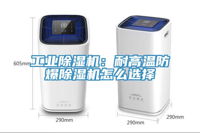 工业猫咪成人官网：耐高温防爆猫咪成人官网怎么选择