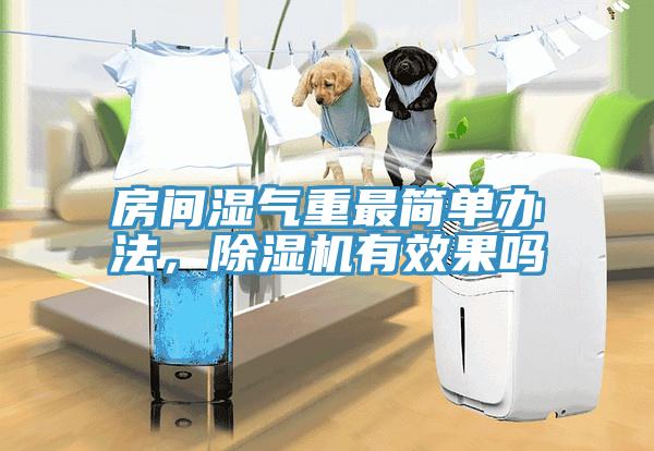 房间湿气重最简单办法，猫咪成人官网有效果吗