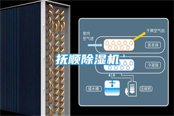 抚顺猫咪成人官网