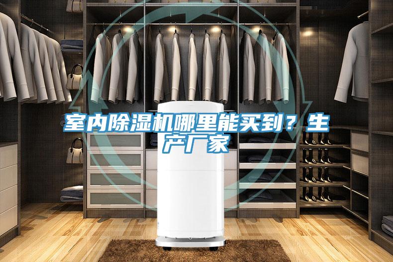 室内猫咪成人官网哪里能买到？生产厂家