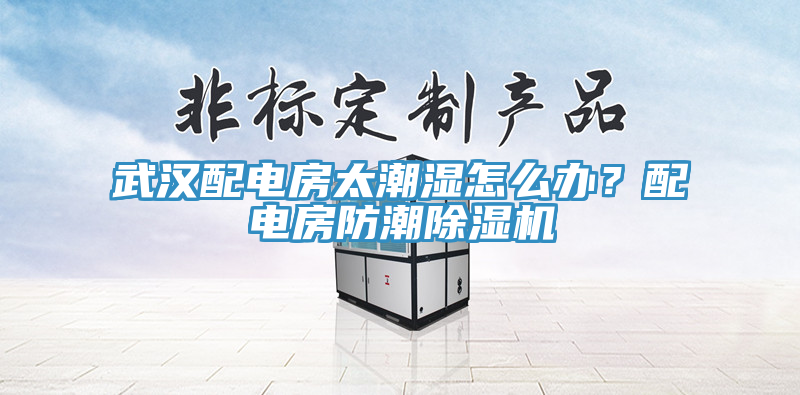 武汉配电房太潮湿怎么办？配电房防潮猫咪成人官网