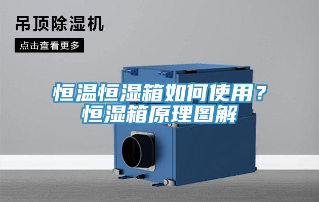 恒温恒湿箱如何使用？恒湿箱原理图解