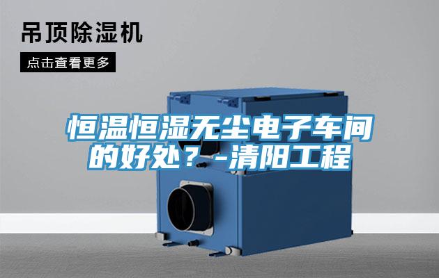 恒温恒湿无尘电子车间的好处？-清阳工程