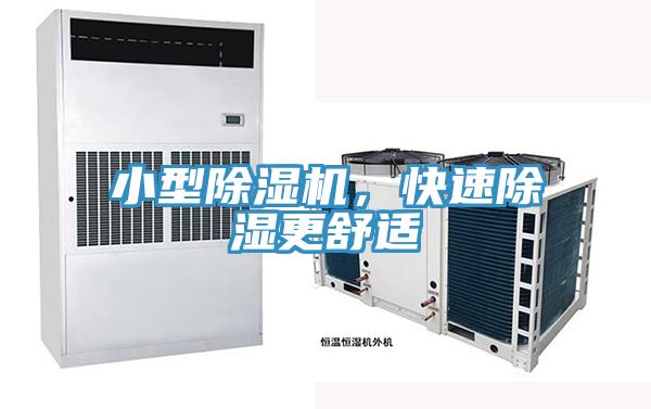 小型猫咪成人官网，快速除湿更舒适