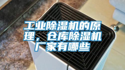 工业猫咪成人官网的原理，仓库猫咪成人官网厂家有哪些