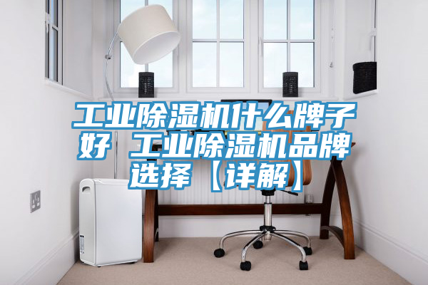 工业猫咪成人官网什么牌子好 工业猫咪成人官网品牌选择【详解】