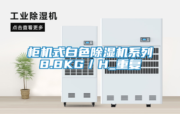 柜机式白色猫咪成人官网系列8.8KG／H_重复