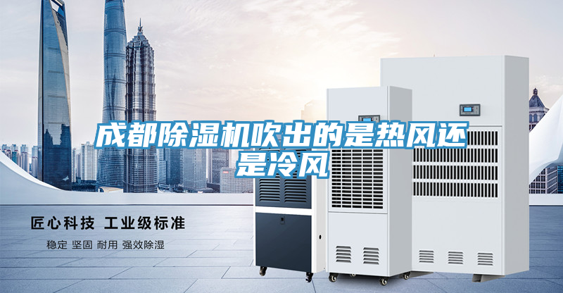 成都猫咪成人官网吹出的是热风还是冷风