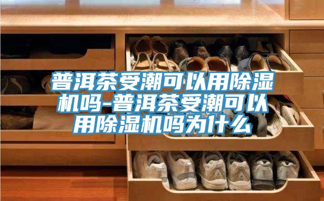 普洱茶受潮可以用猫咪成人官网吗-普洱茶受潮可以用猫咪成人官网吗为什么