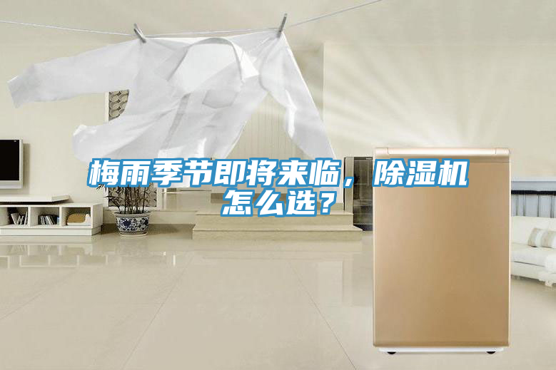 梅雨季节即将来临，猫咪成人官网怎么选？