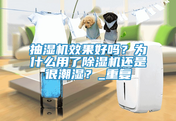 抽湿机效果好吗？为什么用了猫咪成人官网还是很潮湿？_重复