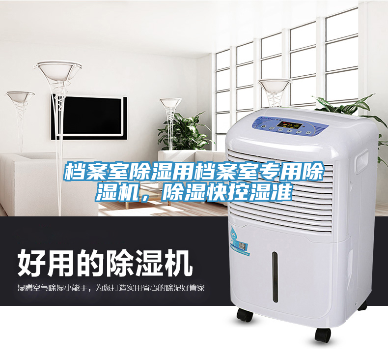 档案室除湿用档案室专用猫咪成人官网，除湿快控湿准