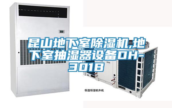 昆山地下室猫咪成人官网,地下室抽湿器设备DH-301B