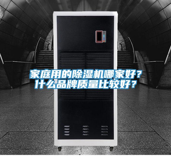 家庭用的猫咪成人官网哪家好？什么品牌质量比较好？