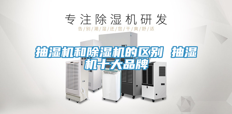 抽湿机和猫咪成人官网的区别 抽湿机十大品牌