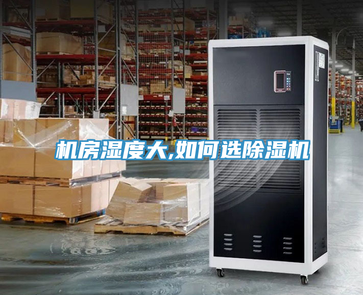 机房湿度大,如何选猫咪成人官网