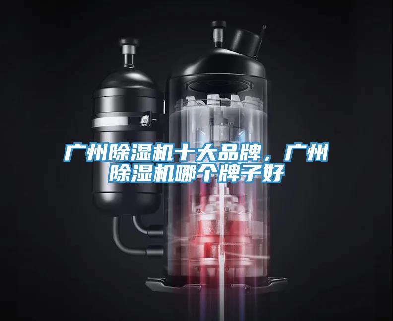 广州猫咪成人官网十大品牌，广州猫咪成人官网哪个牌子好