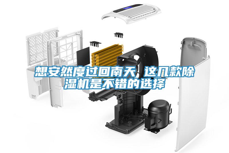 想安然度过回南天 这几款猫咪成人官网是不错的选择