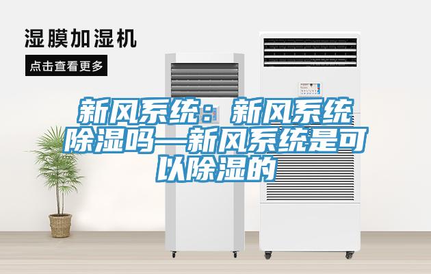 新风系统：新风系统除湿吗—新风系统是可以除湿的