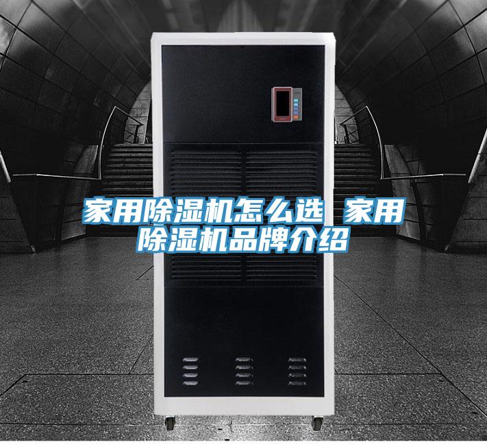 家用猫咪成人官网怎么选 家用猫咪成人官网品牌介绍