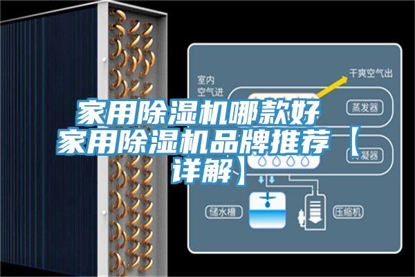 家用猫咪成人官网哪款好 家用猫咪成人官网品牌推荐【详解】