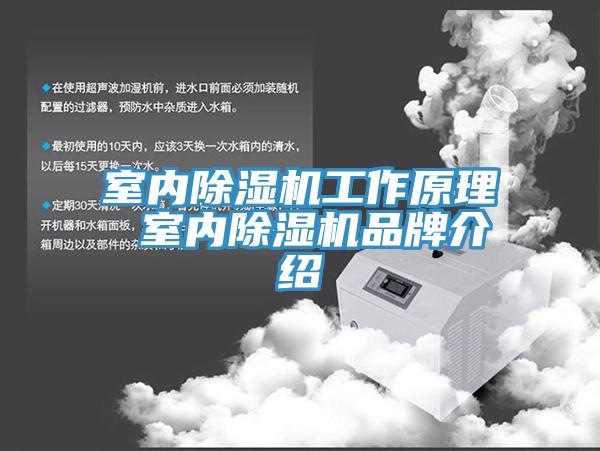 室内猫咪成人官网工作原理 室内猫咪成人官网品牌介绍