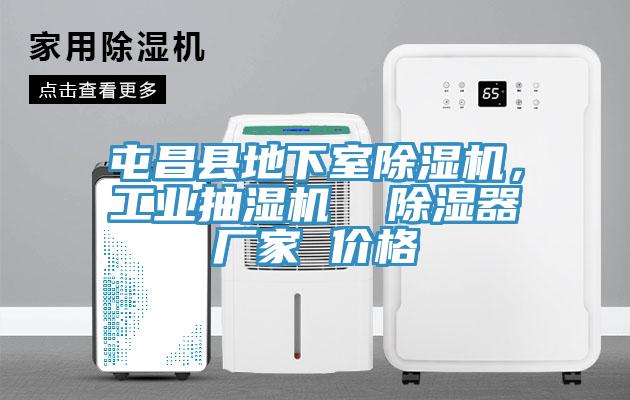 屯昌县地下室猫咪成人官网，工业抽湿机  除湿器厂家 价格