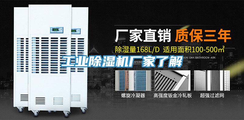 工业猫咪成人官网厂家了解