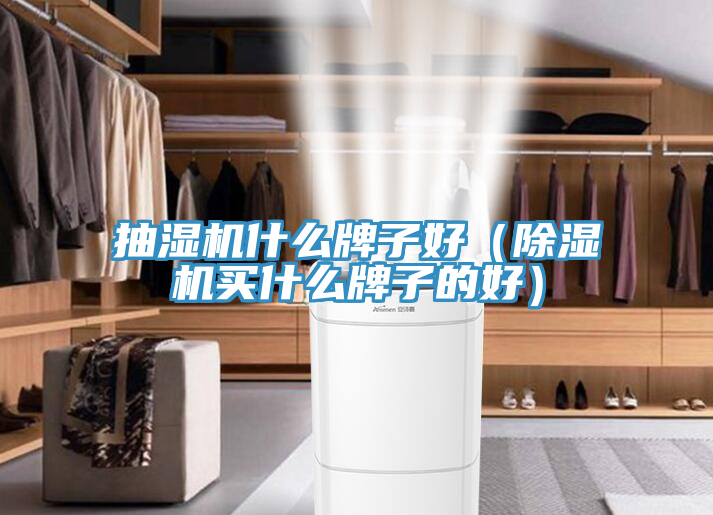 抽湿机什么牌子好（猫咪成人官网买什么牌子的好）