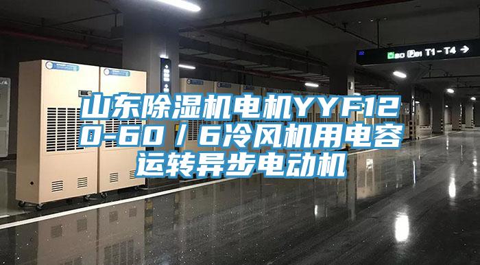 山东猫咪成人官网电机YYF120-60／6冷风机用电容运转异步电动机